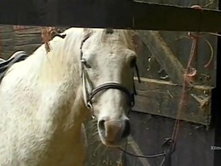 Räpane metsik x kõlblik film sisse a barn jaoks üleannetu farmis tüdrukud