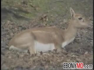 Мулатки повикване момиче банда ударих в на джунгла